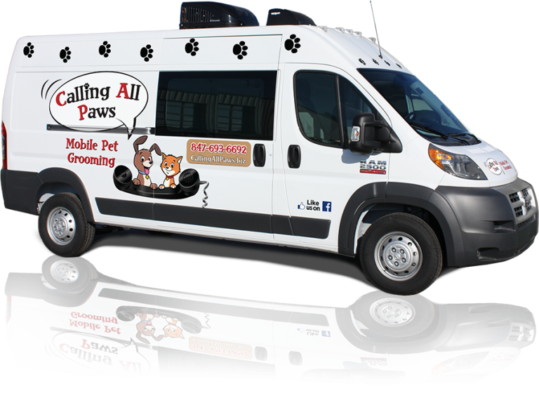 Tour Our Salon Calling All Paws Mobile Pet Grooming
